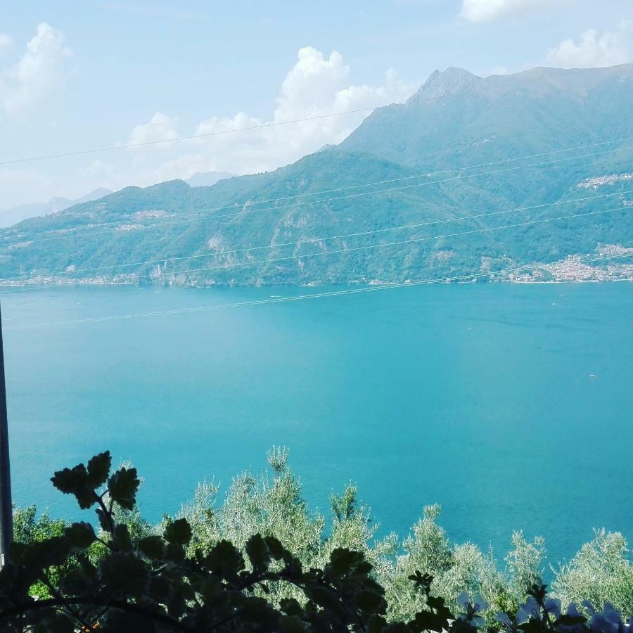 B&B Villa Anita Bellano Εξωτερικό φωτογραφία